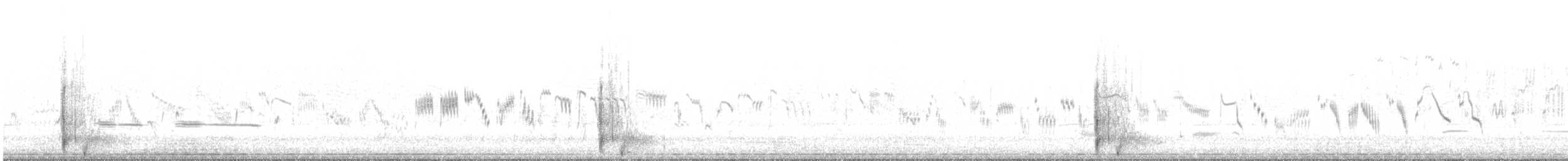 Musk Duck - ML644636830