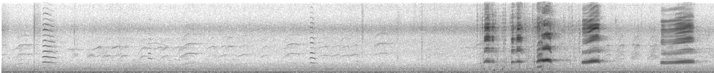 Dusky Moorhen - ML644637097