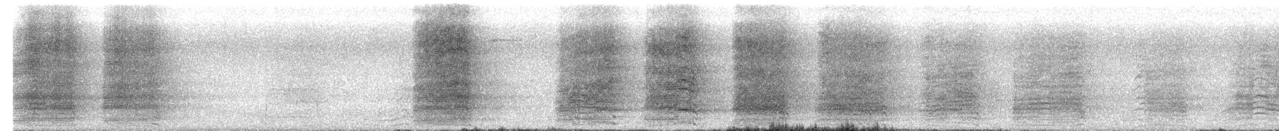 Sulphur-crested Cockatoo - ML644637104