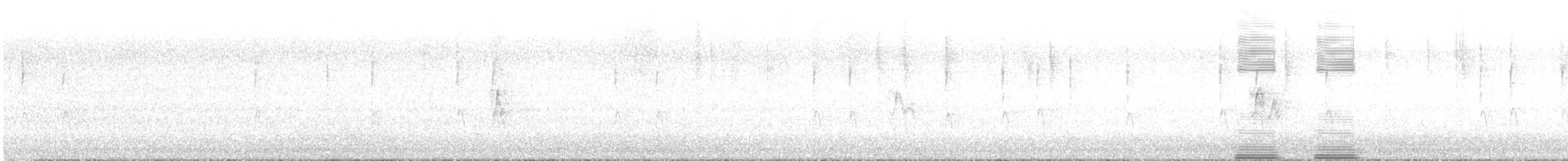 House Sparrow - ML644637753