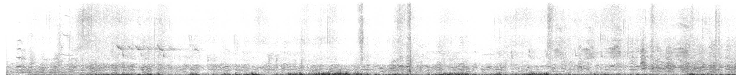 Laughing Gull - ML644637831