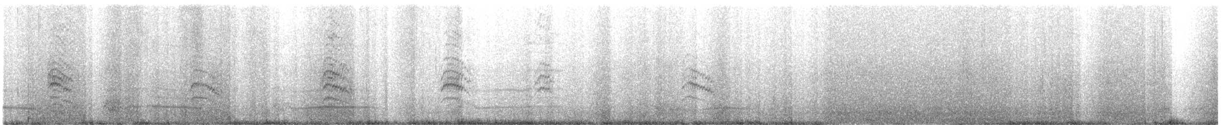 Brown-hooded Gull - ML644638142