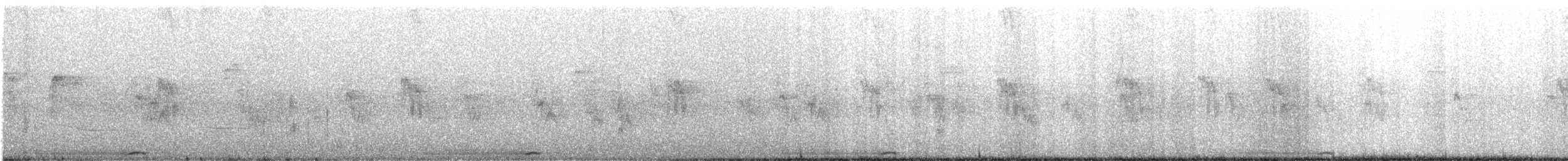 Picazuro Pigeon - ML644638154