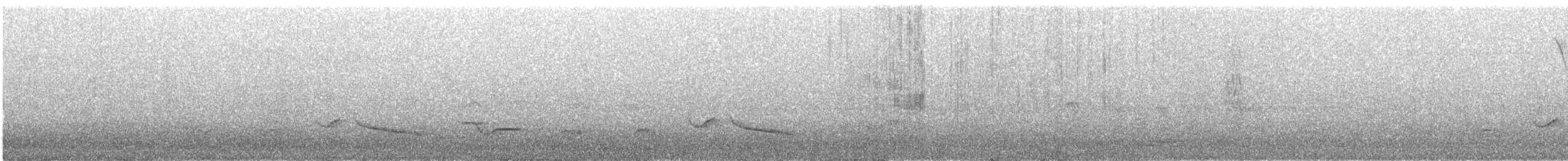 Rufous-bellied Thrush - ML644638319