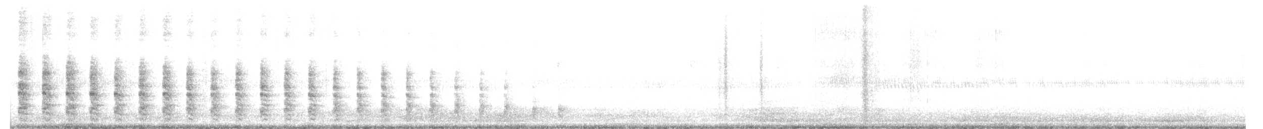 Clapper Rail - ML644638497