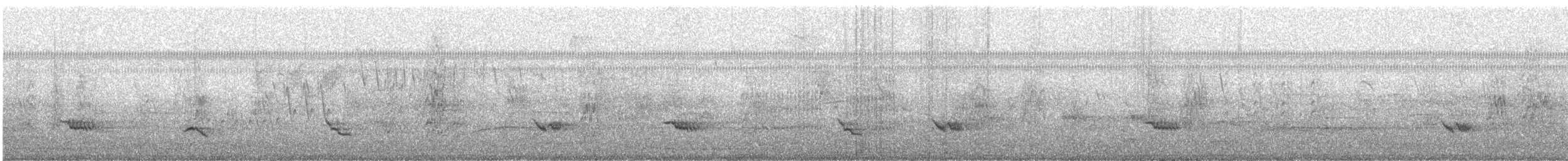 Creamy-bellied Thrush - ML644638520