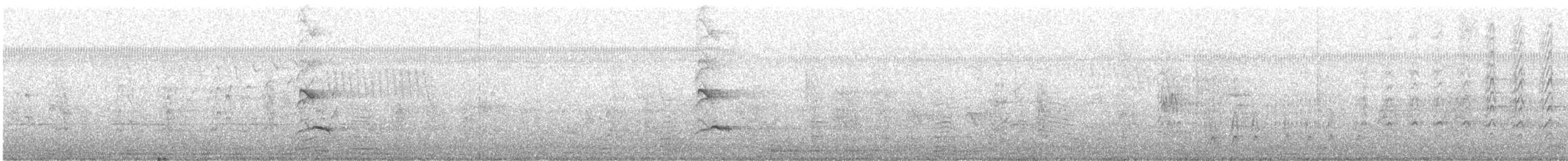 Creamy-bellied Thrush - ML644638521