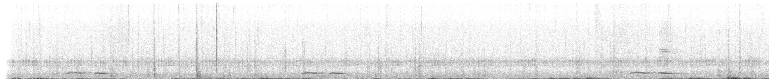 Tasmanian Boobook - ML644638678