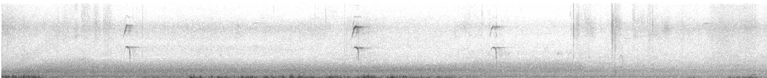 Merle à ventre clair - ML644639097