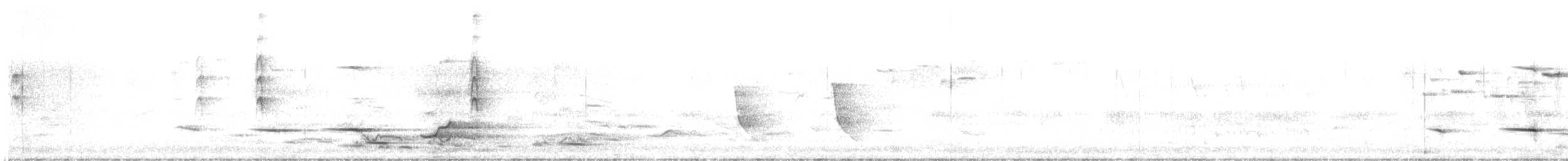 Weißzügel-Dickkopf - ML644639535