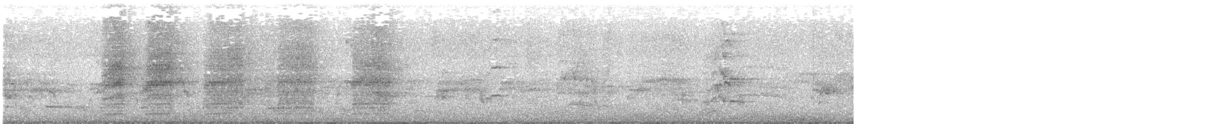 ibis australský - ML644639829