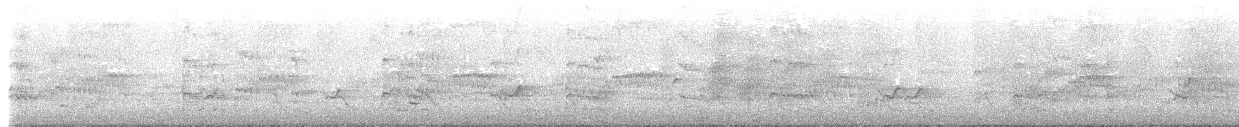 ibis australský - ML644639830