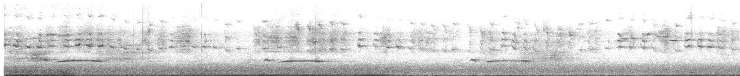Fächerschwanzkuckuck [flabelliformis-Gruppe] - ML644639913
