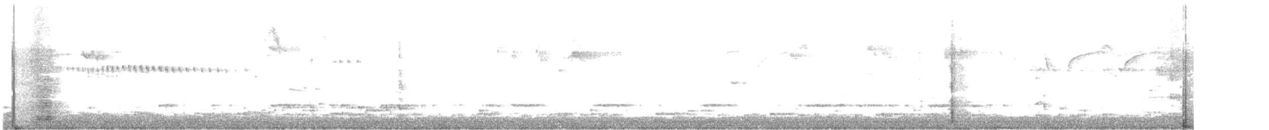 Hegaztia sp. - ML644640228