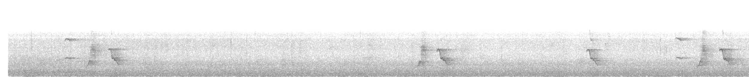 Greater Racket-tailed Drongo - ML644640477