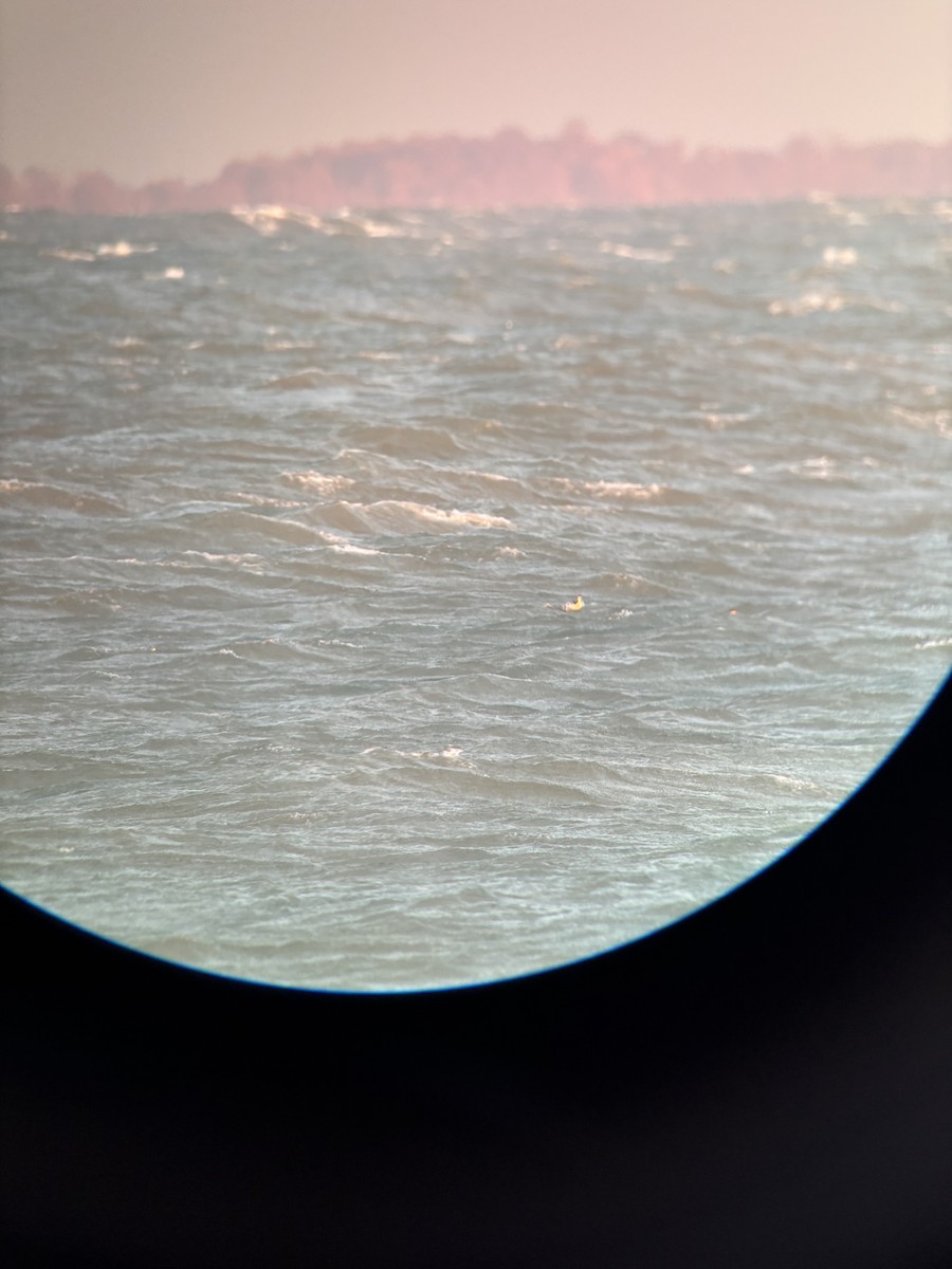 Ухаа шунгуур - ML644641093