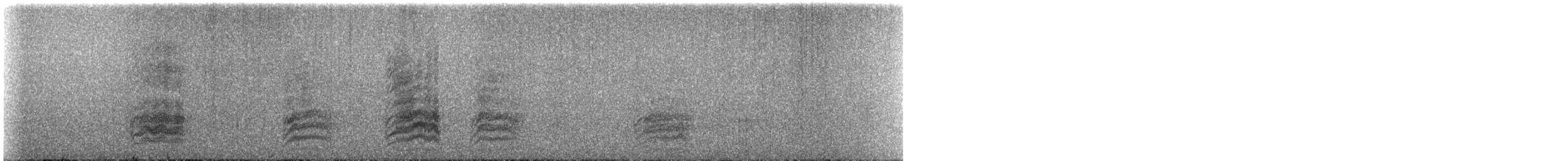 Yellow-collared Macaw - ML644641738