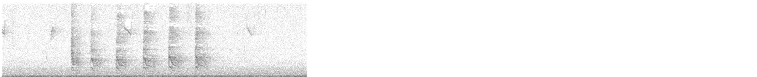 Pic à ventre roux - ML644642620