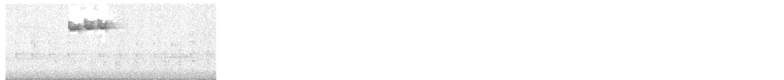 Erregetxo amerikarra - ML644642638