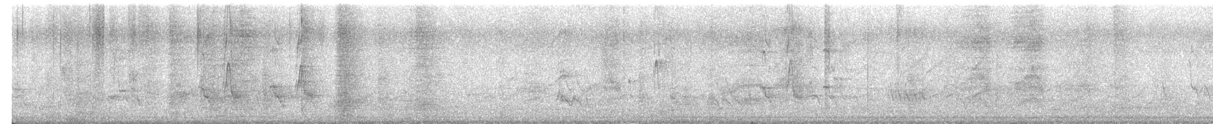 Maina comune - ML644642677