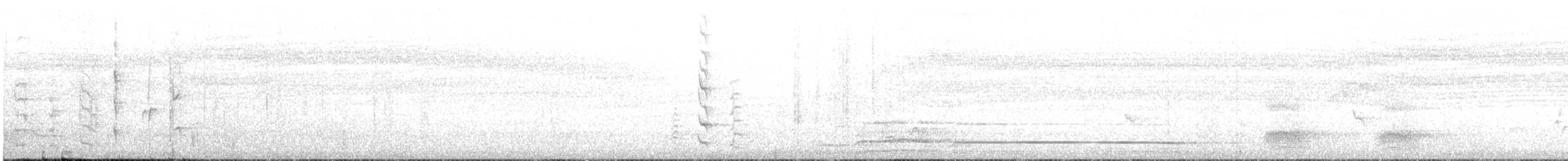 Black-bellied Starling - ML644642714