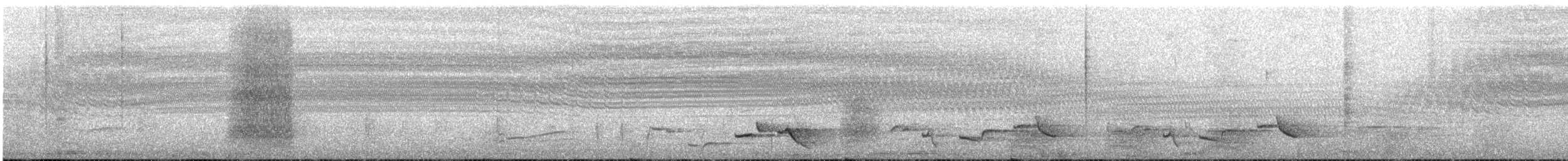 Black-bellied Starling - ML644642715