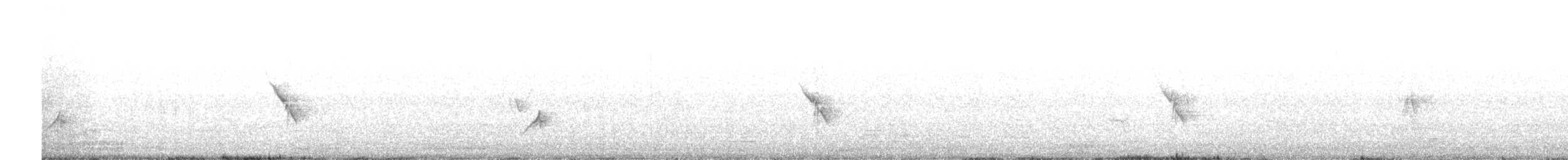 ハシナガビンズイ - ML644642963