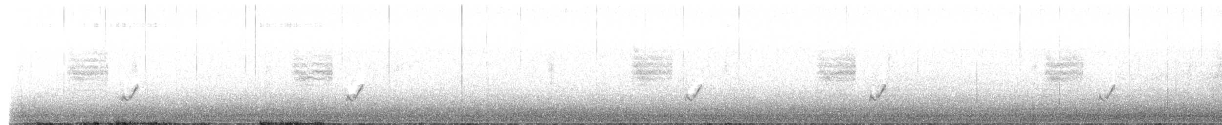 Cistícola Cabecidorado - ML644643110