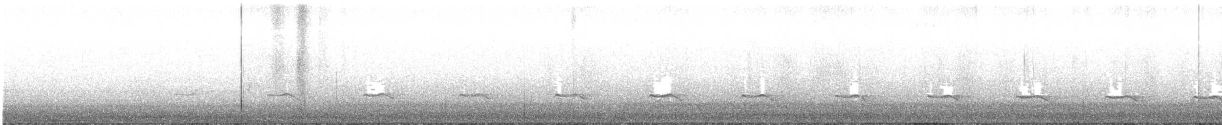 Cuco Varioloso - ML644643121