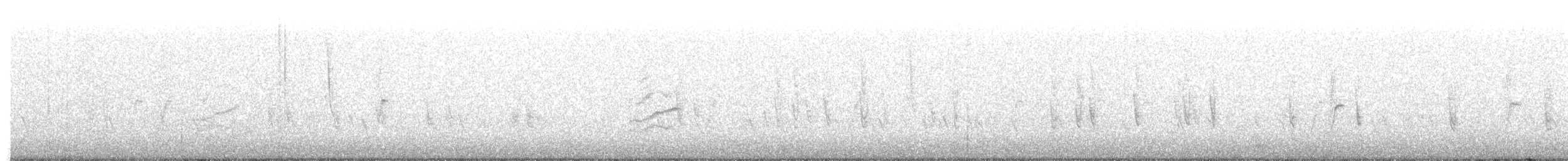 Txoka txikia (cabaret) - ML644643246