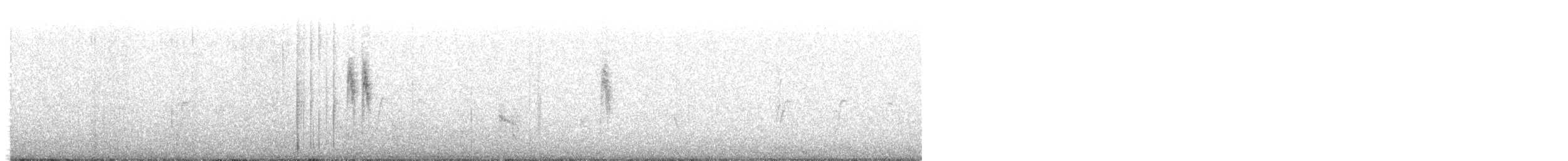 White Wagtail - ML644643478