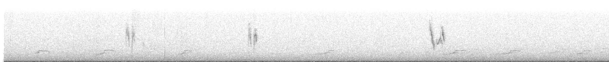 White Wagtail - ML644643486