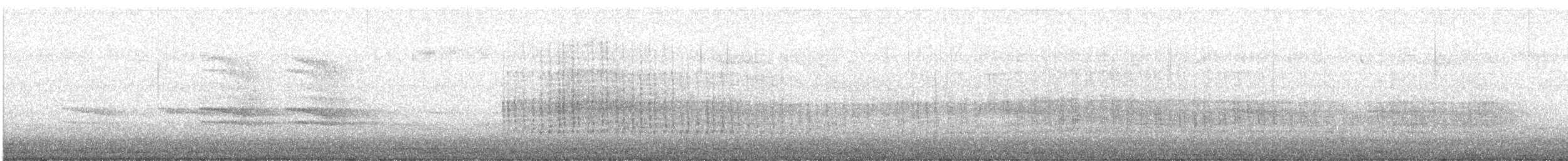 Belted Kingfisher - ML644644366