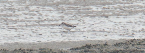 Грязовик - ML644644399