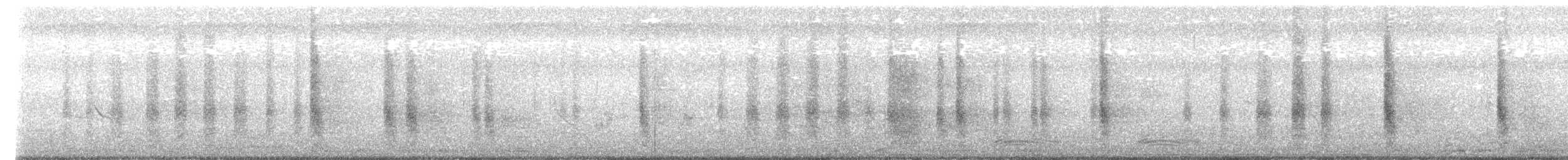 Восточный широкорот - ML644644647