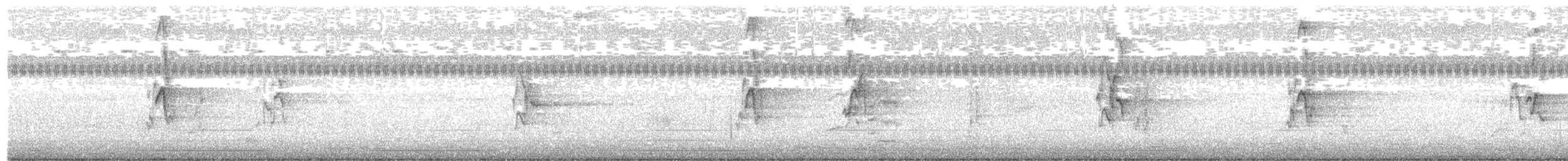 ニューギニアゴシキセイガイインコ - ML644644852