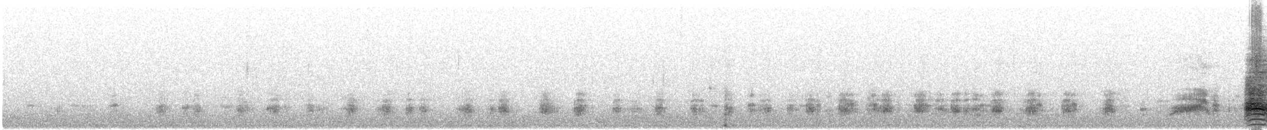 Germano reale - ML644645688