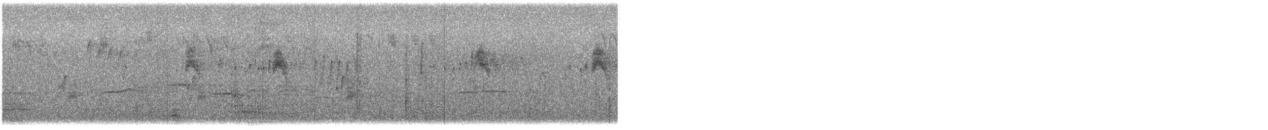 חטפית צהובת-גחון - ML644645751