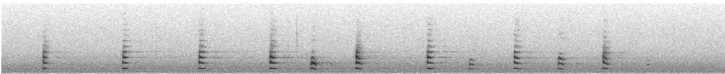 אגמית מצויה - ML644645814