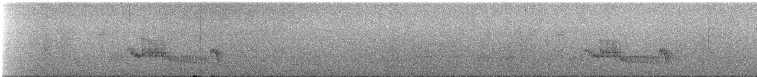 Southern House Wren - ML644645823