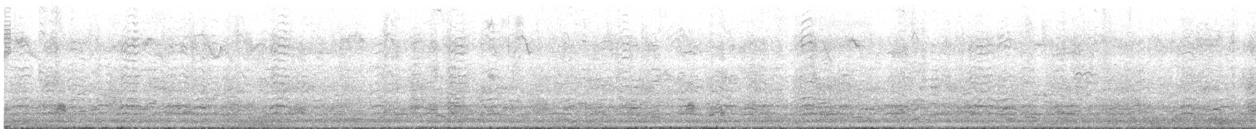 Snow Goose - ML644646244