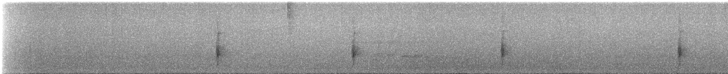 Tyran audacieux - ML644646254