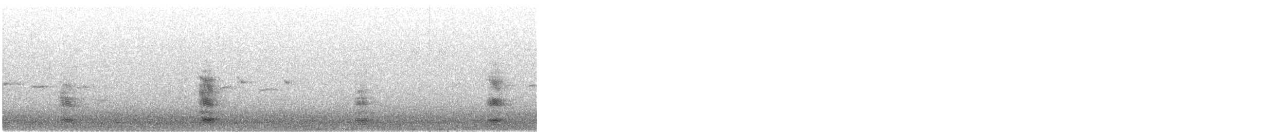 Graugans (anser) - ML644646481