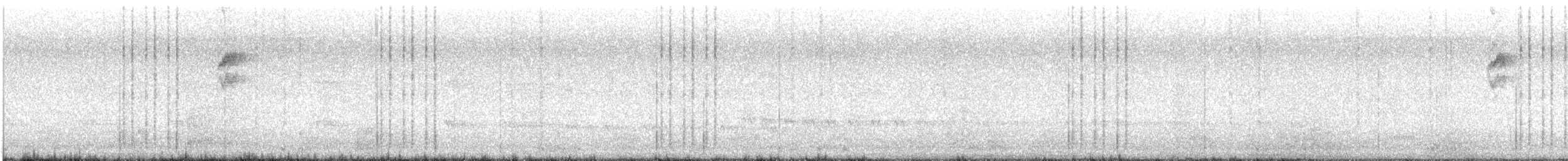 Papamoscas Pardo Asiático - ML644646528