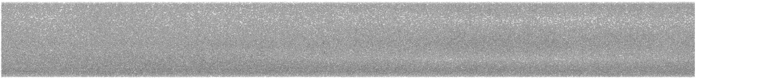 ミユビシギ - ML644647237