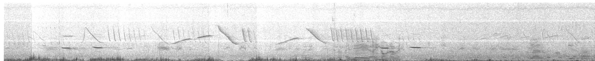 Striped Cuckoo - ML644648266