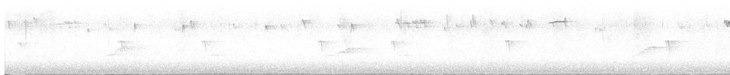 Erregetxo amerikarra - ML644648544