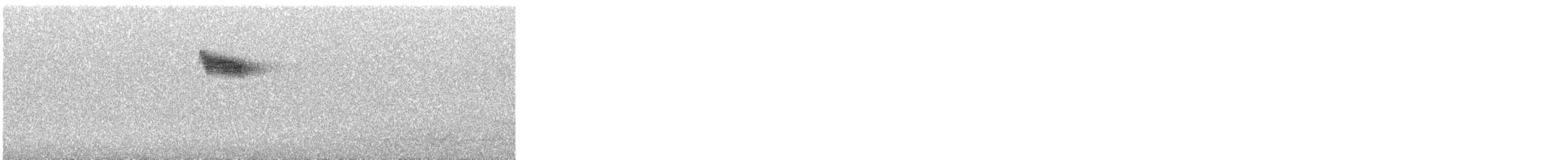 Цагаан хөмсөгт хөөндэй - ML644648752