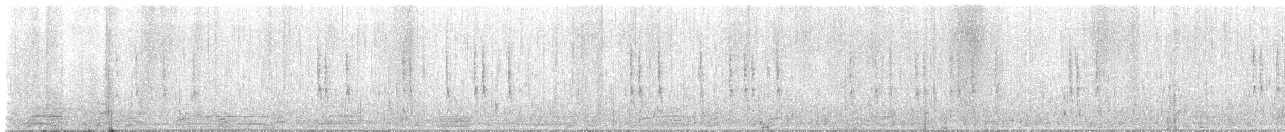 フユミソサザイ - ML644649205