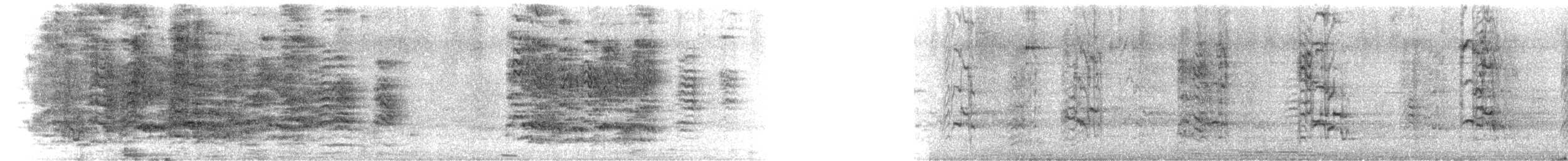 Psittacara sp. - ML644649462